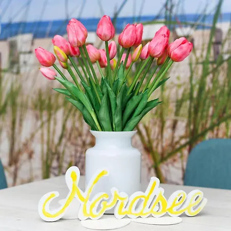 Haus Strandkorb Mit Fruehstuecksoption Bensersiel Exterior foto